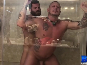 Breedmeraw riley mitchel fucks doggystyle in bareback shower